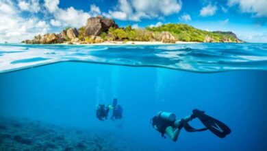 Mauritius-Tourism-Expert-Advocates-Vanilla-Islands-Marketing-Concept-TRAVELINDEX-VANILLAISLANDS-700x414.jpg